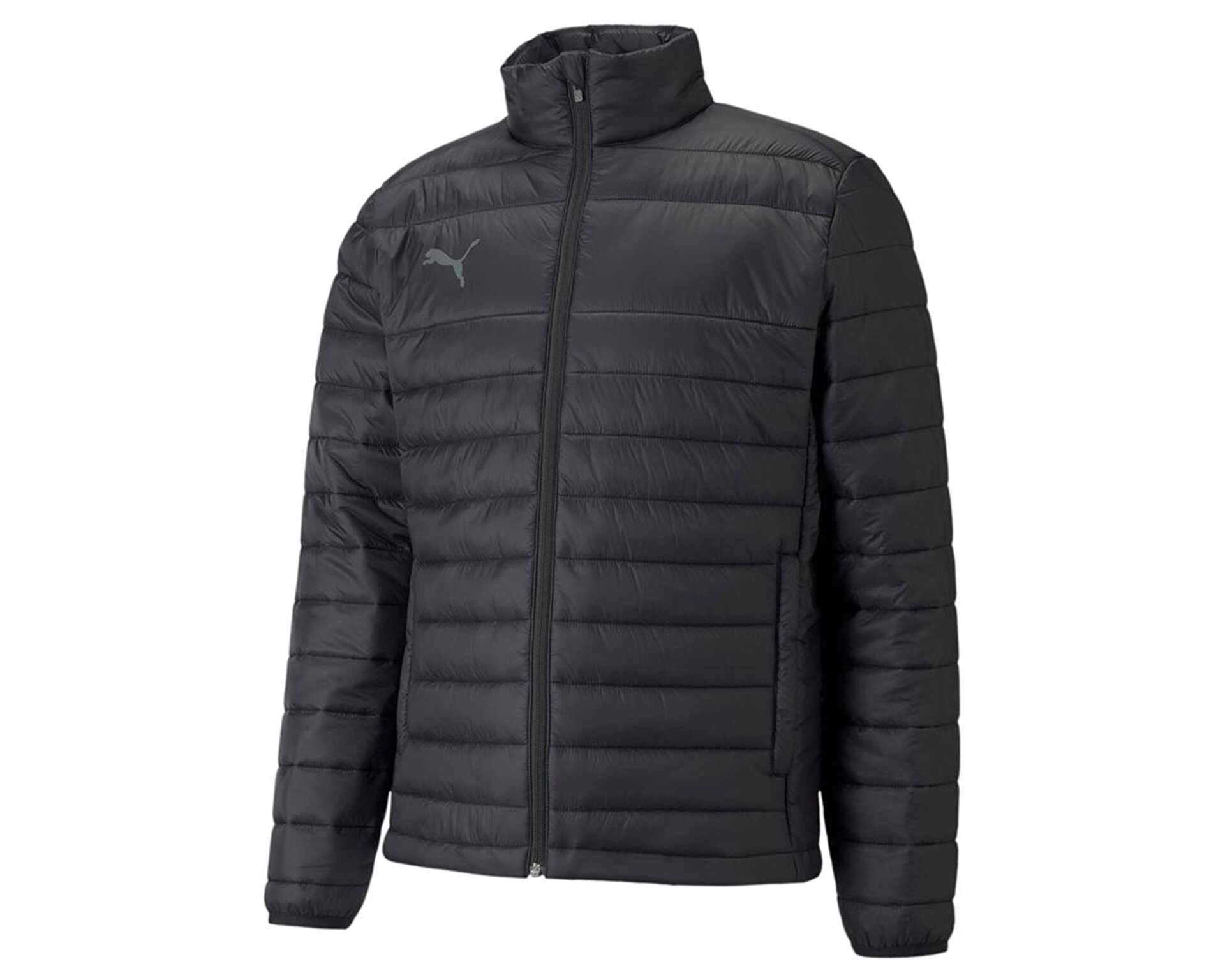 Puma Erkek Teamliga Light Jacket Siyah 65761703