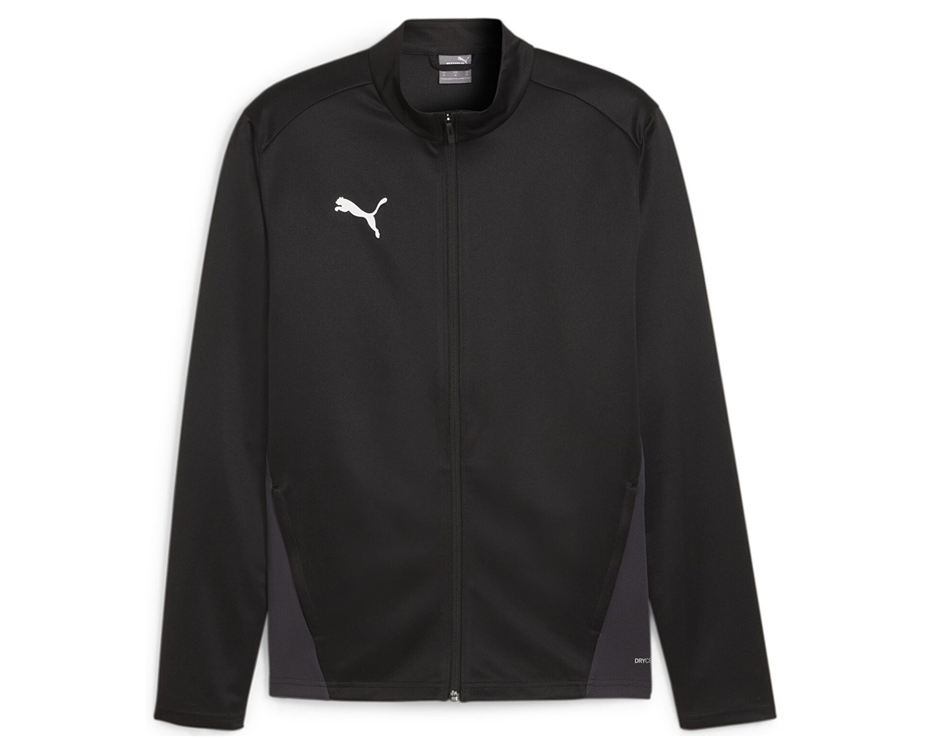 Puma Erkek Teamgoal Training Jacket Siyah 65863303