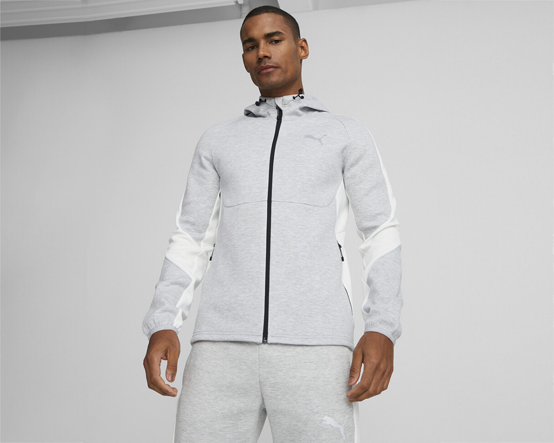 Puma Erkek Evostripe Full-Zip Hoodie Gri 67331304