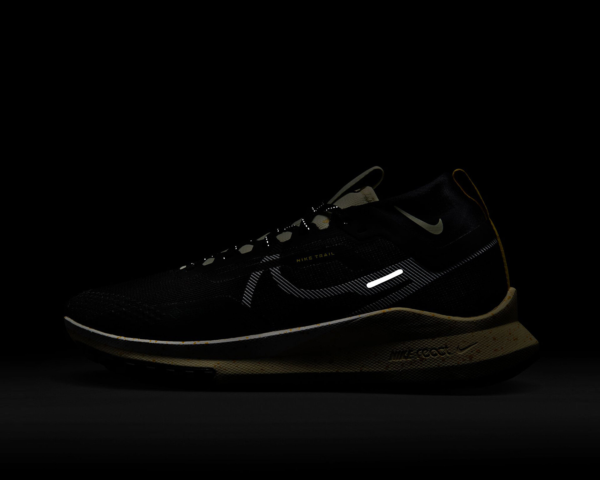 React Pegasus Trail 4 Gtx Erkek Nike Siyah Erkek Arazi Koşu