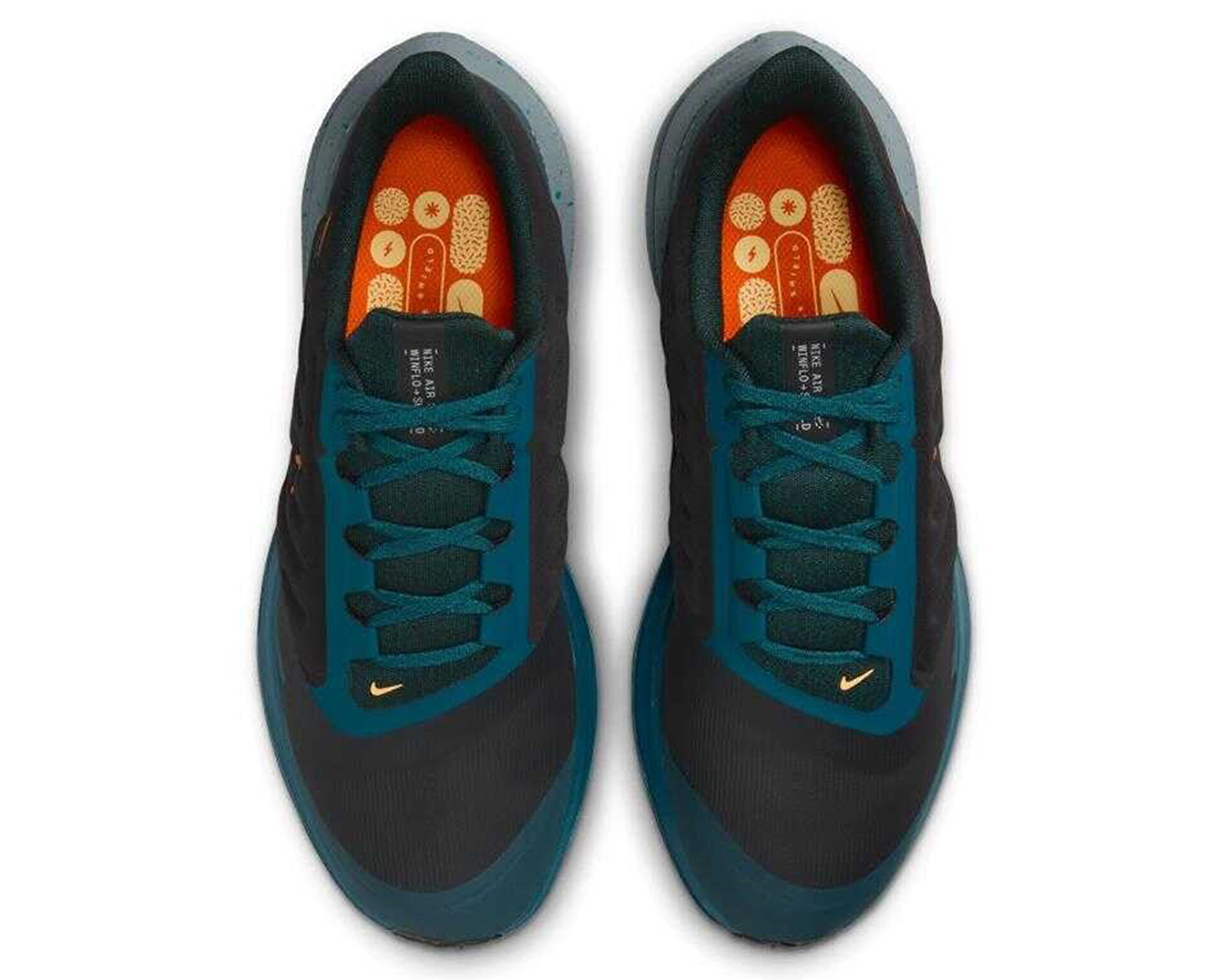 Nike Erkek Winflo 9 Shield Siyah DM1106-002