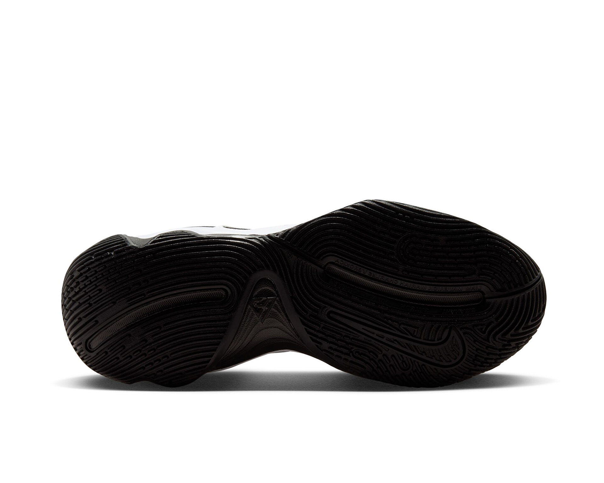 Nike Erkek Giannis Immortality 3 Siyah DZ7533-003