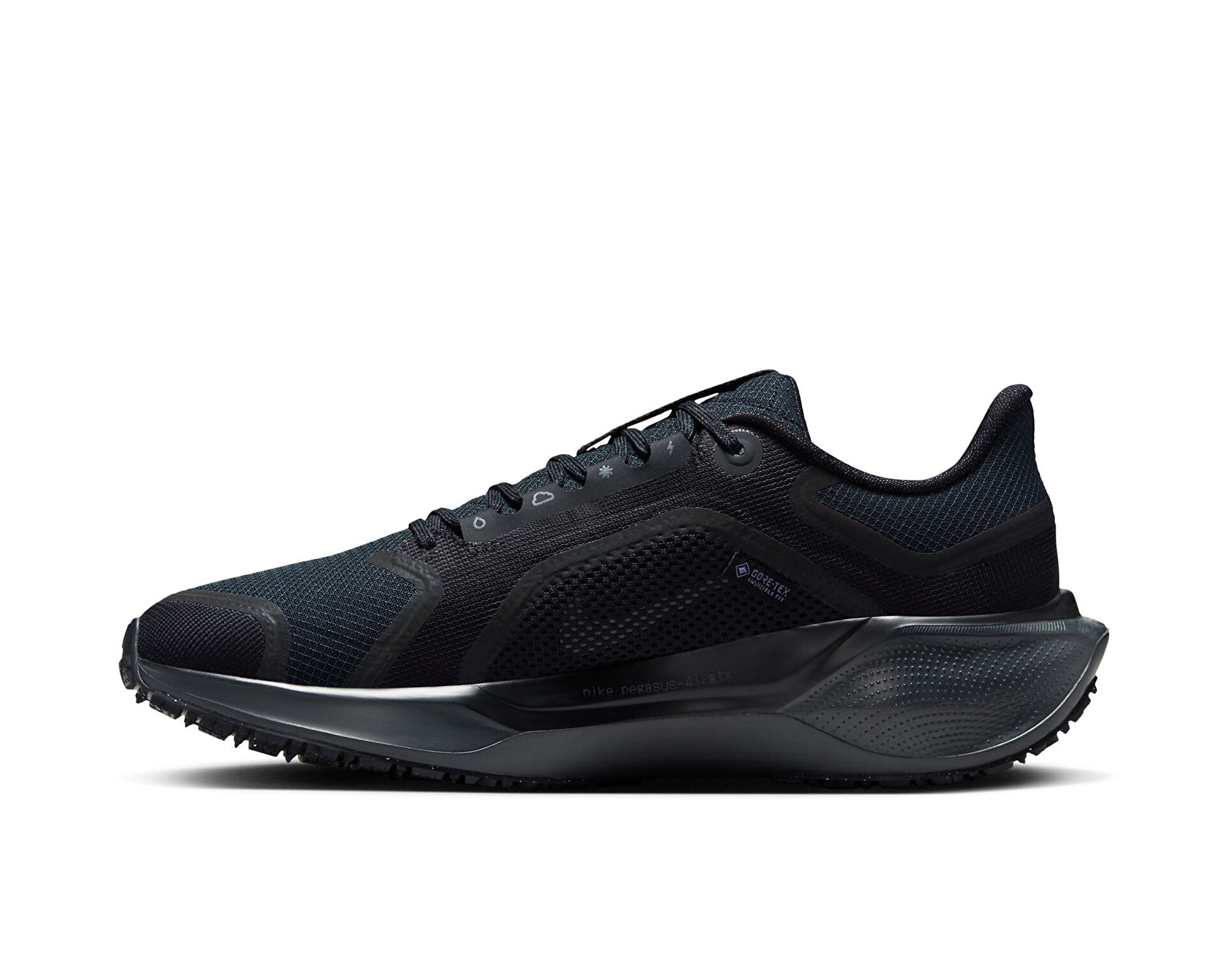 Nike Unisex Pegasus 41 Gore-Tex Siyah FQ1357-001