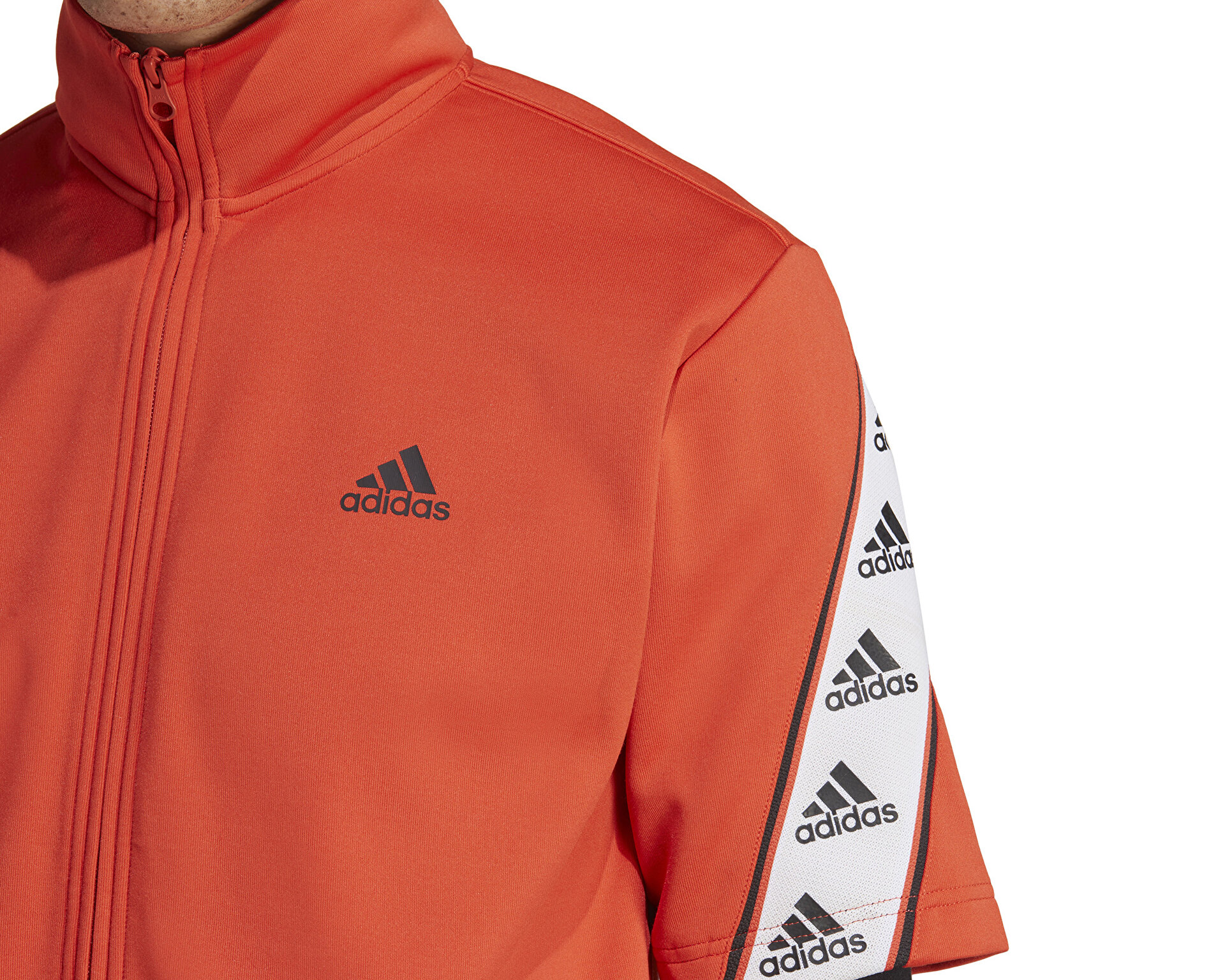 adidas Erkek M Short Ts Tt Kırmızı IB8414