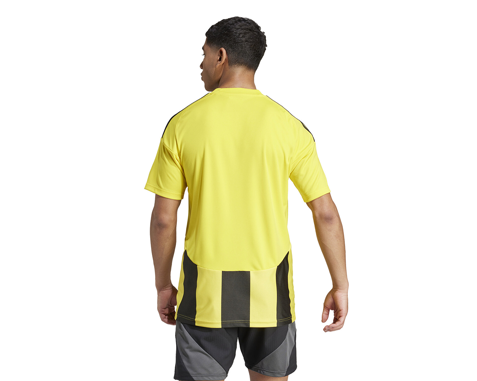 adidas Erkek Striped 24 Jsy Çok Renkli IW2146