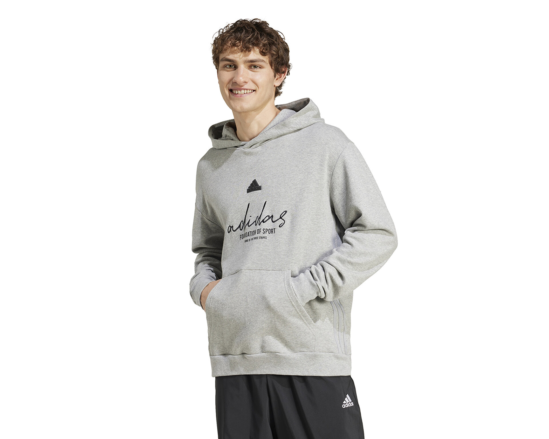 adidas Erkek Bl Ft Hd Q3 Gri IX1316