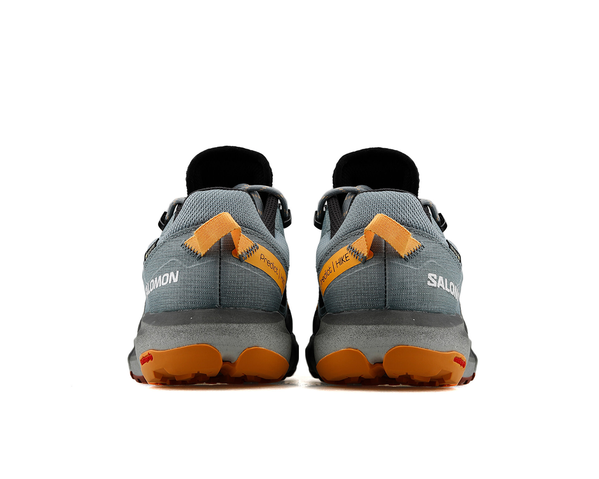 Salomon Erkek Predict Hike Gtx Siyah L41599600