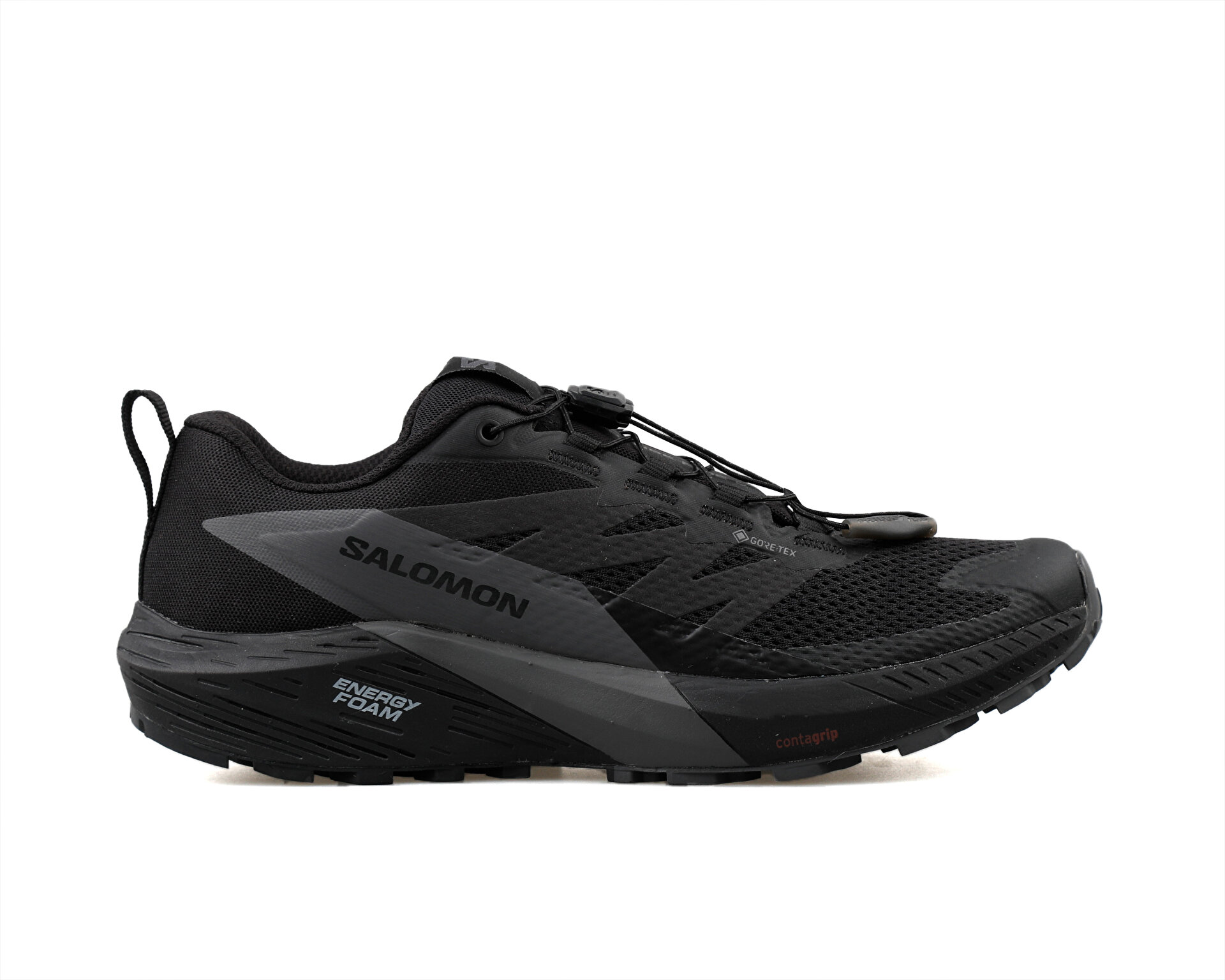 Salomon Erkek Sense Ride 5 Gtx Siyah L47147200