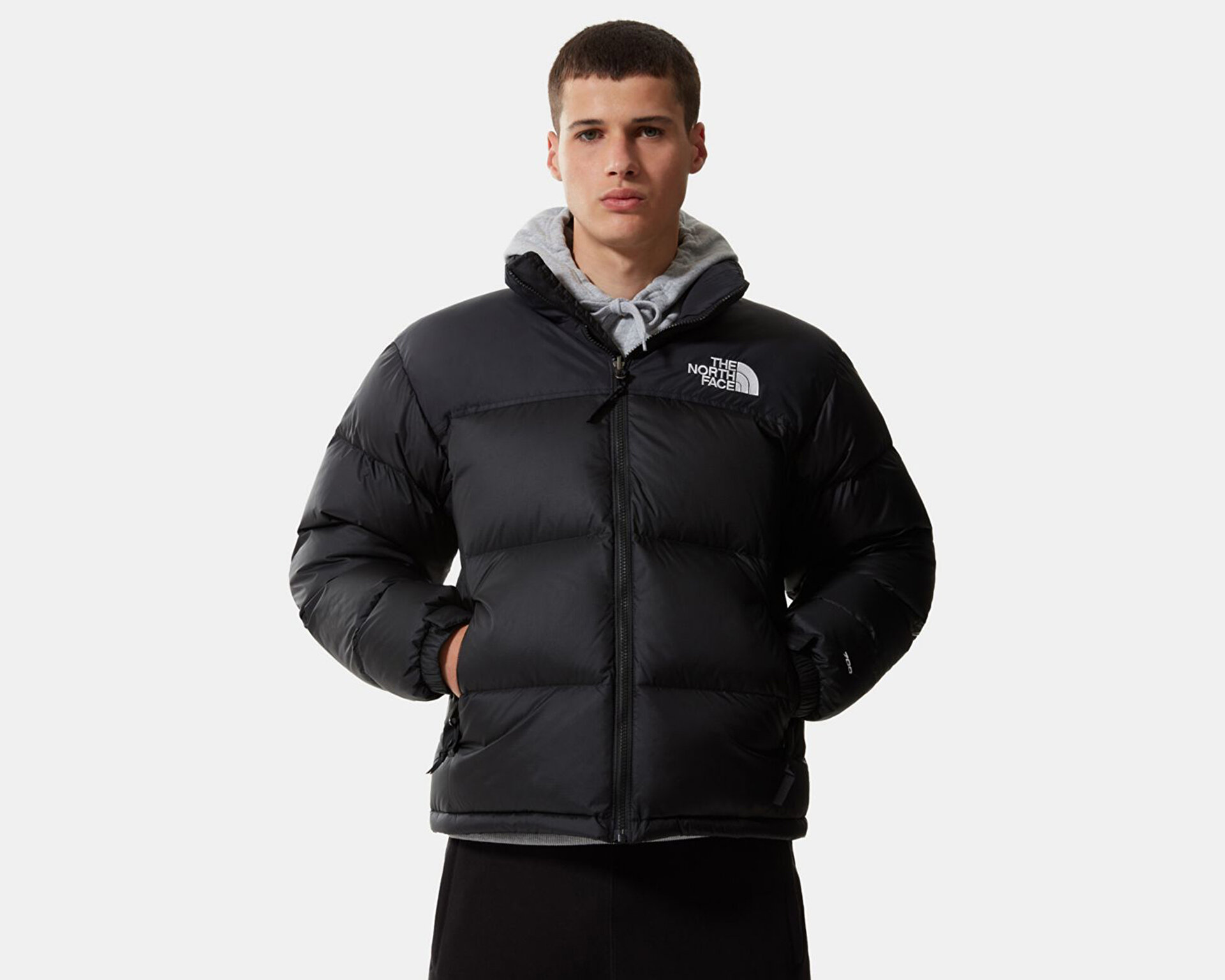 The North Face Erkek M 1996 Rtro Npse Jkt Siyah NF0A3C8DLE41