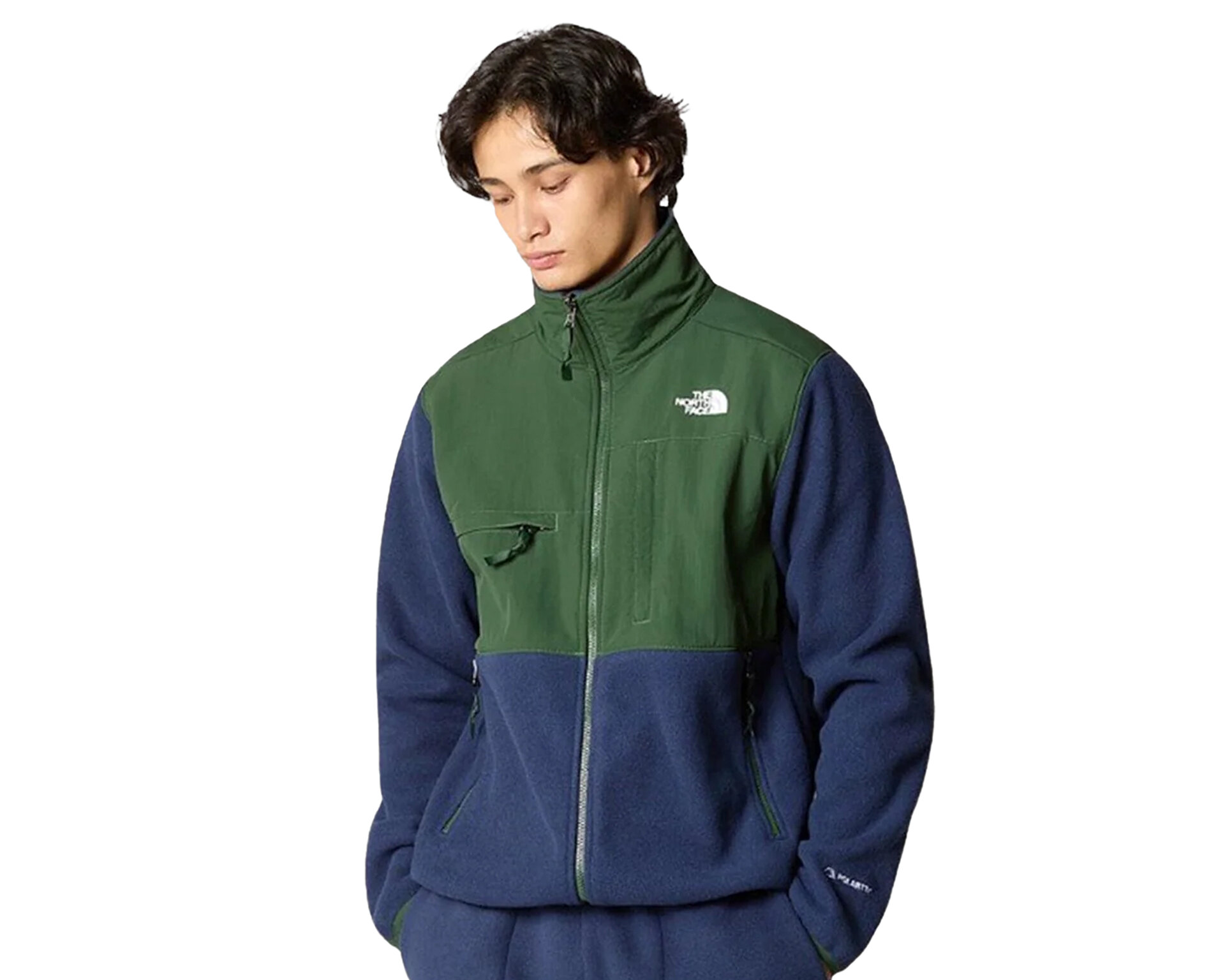 The North Face Erkek M Denali Jacket Çok Renkli NF0A7UR2OBH1