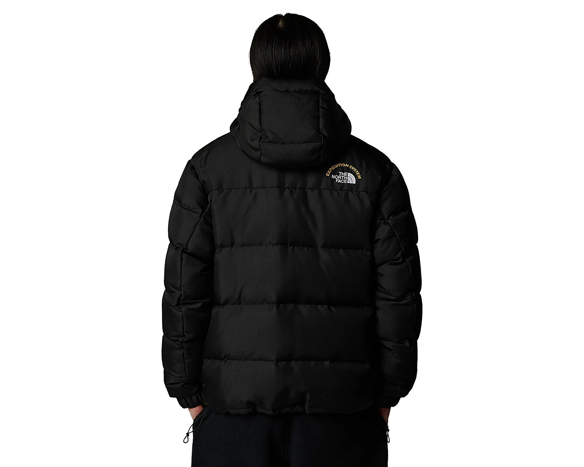 The North Face Erkek M Hmlyn 30 Anniversary Parka Siyah NF0A88XEJK31