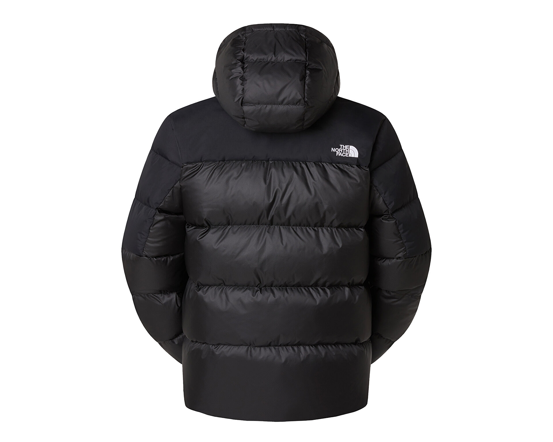 THE NORTH FACE Erkek M DIABLO DOWN 2.0 HOODIE Siyah NF0A8992GOC1