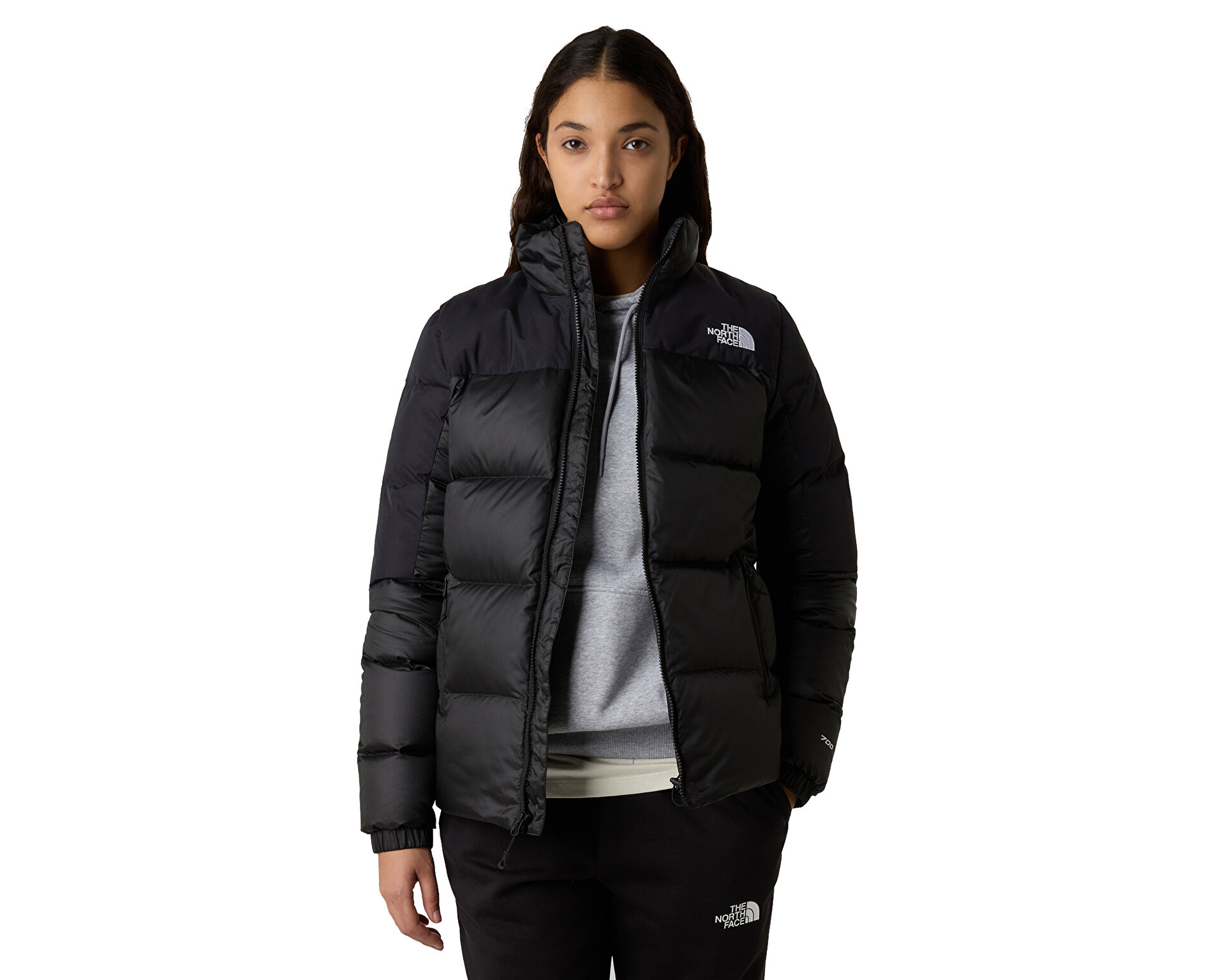 THE NORTH FACE Kadın W DIABLO DOWN 2.0 JACKET Siyah NF0A8E14PH51