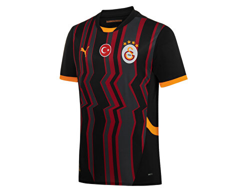 Galatasaray Sk 2024/2025 Erkek Futbol Forması
