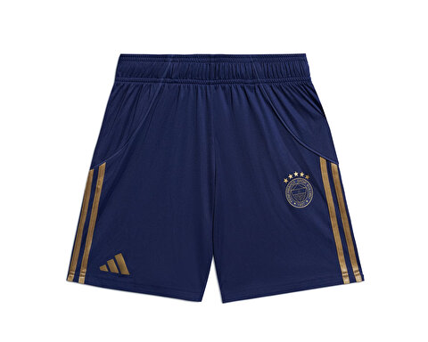 Fenerbahçe 25/26 Üçüncü Şort