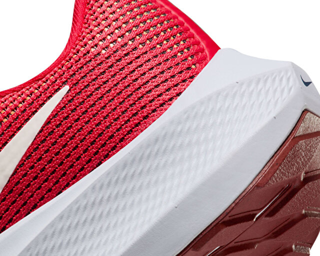 Nike Koşu Ayakkabısı Pegasus 40 - Görsel 9