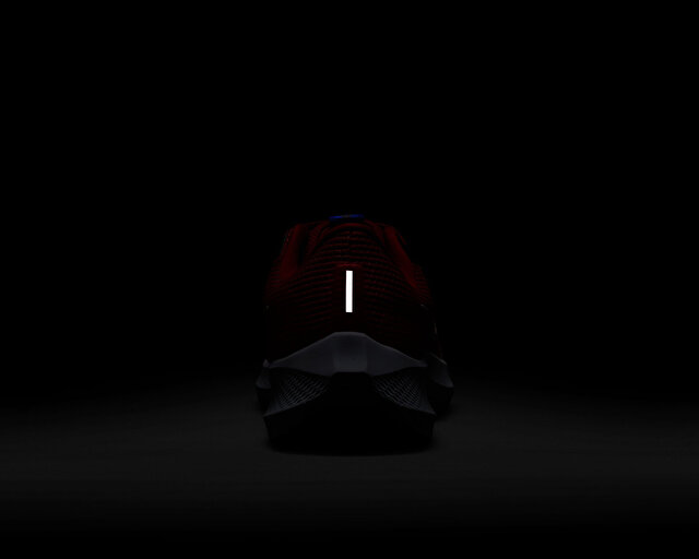 Nike Koşu Ayakkabısı Pegasus 40 - Görsel 10