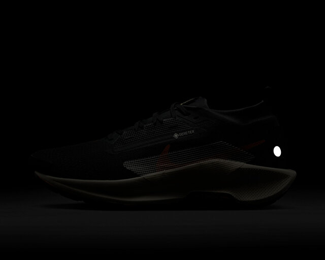 Nike Koşu Ayakkabısı Pegasus Trail 5 Gore-Tex - Görsel 10