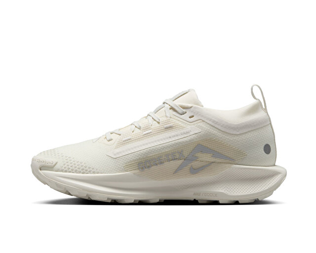 Nike Koşu Ayakkabısı W Pegasus Trail 5 Goretex - Görsel 3