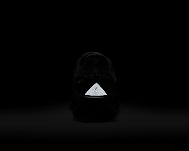 Nike Koşu Ayakkabısı Winflo 11 Gore-Tex - Görsel 12