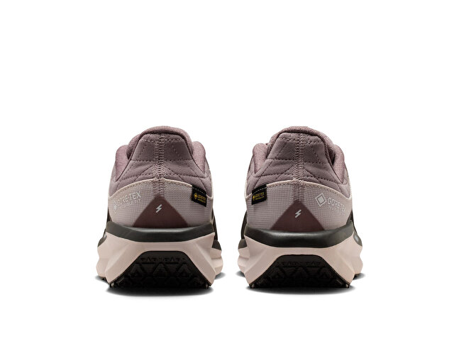 Nike Koşu Ayakkabısı W AIR WINFLO 11 GTX - Görsel 6