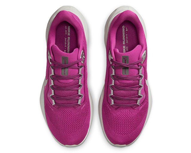 Nike Koşu Ayakkabısı Pegasus 41 Prm - Görsel 5