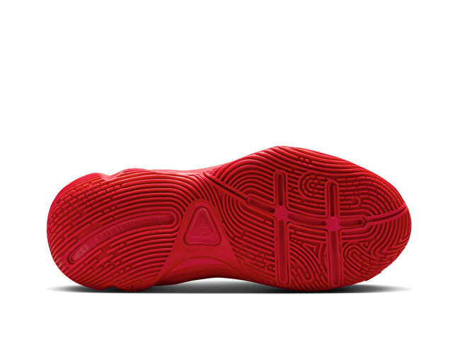 Nike Ayakkabı Basketbol Ayakkabıları GIANNIS IMMORTALITY 4 (GS) - Görsel 7