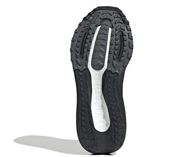 Adidas Koşu Ayakkabısı Ultraboost Light C.Rdy W - Görsel 7