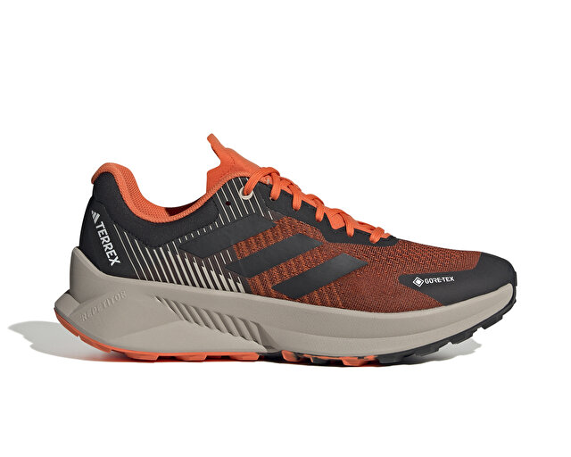 Adidas Ayakkabısı Trekking Bot ve Ayakkabıları Terrex Soulstride Flow Gtx - Görsel 2