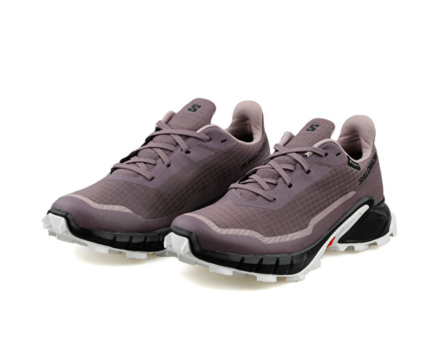 Salomon Ayakkabı Koşu Ayakkabısı Alphacross 5 Gtx W - Görsel 4