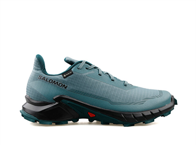 Salomon Koşu Ayakkabısı Alphacross 5 Gtx - Görsel 2