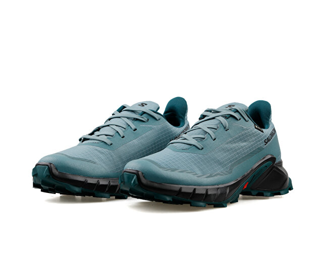 Salomon Koşu Ayakkabısı Alphacross 5 Gtx - Görsel 4