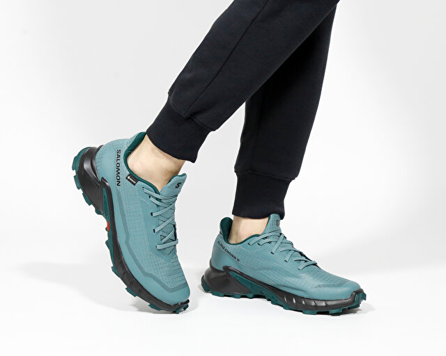 Salomon Koşu Ayakkabısı Alphacross 5 Gtx - Görsel 10