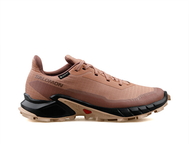 Salomon Koşu Ayakkabısı Alphacross 5 Gtx W - Görsel 2
