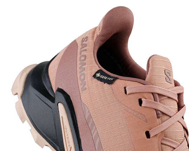 Salomon Koşu Ayakkabısı Alphacross 5 Gtx W - Görsel 8