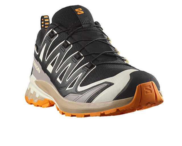 Salomon Ayakkabı Outdoor Ayakkabısı XA PRO 3D V9 GORE TEX - Görsel 4