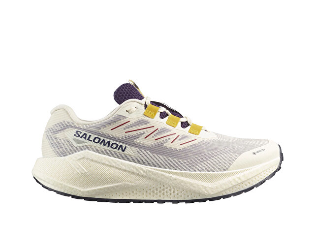 Salomon Koşu Ayakkabısı AERO BLAZE 3 GRVL GORE-TEX - Görsel 2