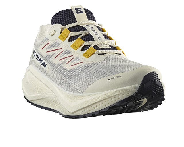 Salomon Koşu Ayakkabısı AERO BLAZE 3 GRVL GORE-TEX - Görsel 4