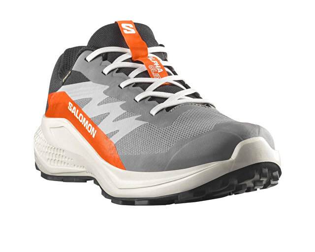 Salomon Koşu Ayakkabısı ALPHAGLIDE GORE-TEX - Görsel 3