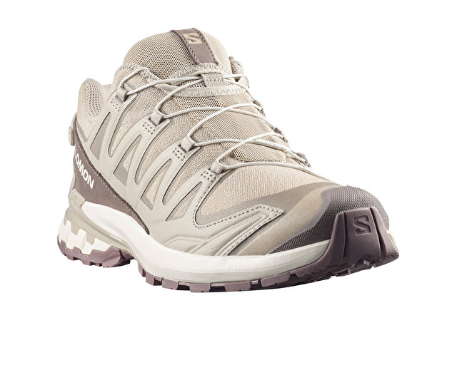 Salomon Bej Salomon Xa Pro Ayakkabı Outdoor 3D V9 LIFELONG