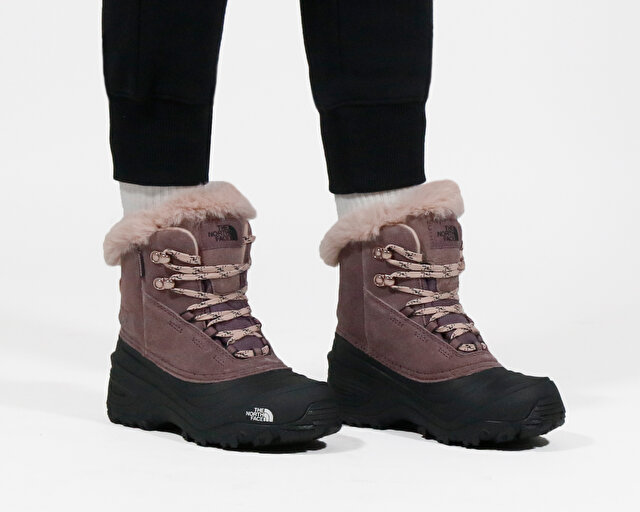 The North Face The North Face Mor Ayakkabı Outdoor Y SHELLISTA V LACE WP Outdoor Ayakkabı | Korayspor Mor - 3. görsel